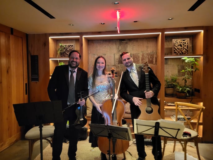 Gallery photo 1 of Alexandra NYC Cellist and Strings
