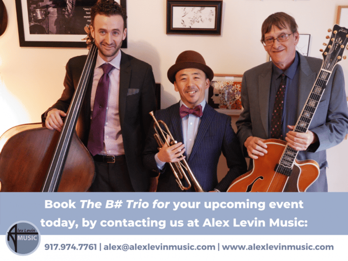 Gallery photo 8 of Alex Levin Music - Live Entertainment for Events