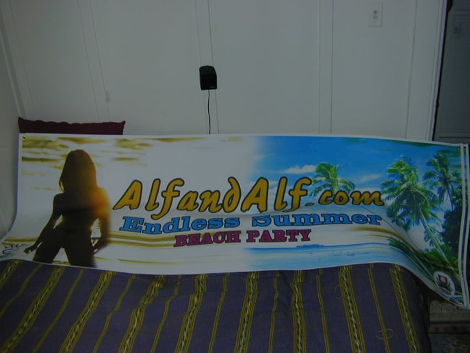 Gallery photo 3 of Alf and Alf Event Planning