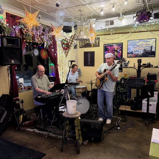 Gallery photo 8 of Devon Kurzweil Trio