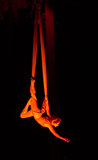 Gallery photo 6 of Alice Faeland