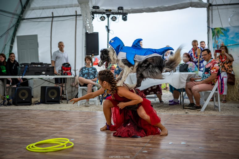 Gallery photo 7 of Align Cloud Nine