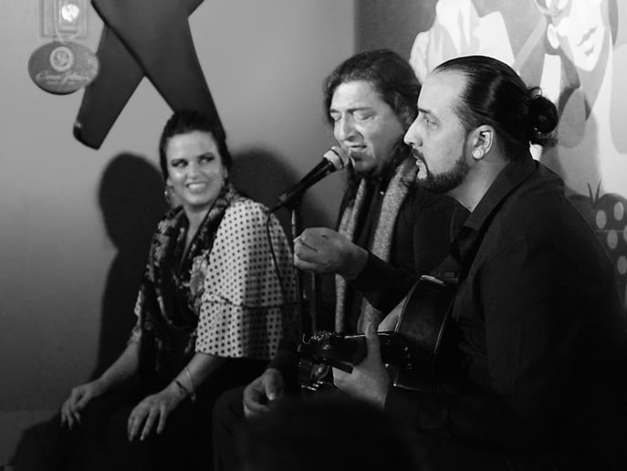 Gallery photo 8 of All-Inclusive Flamenco Night: Spanish