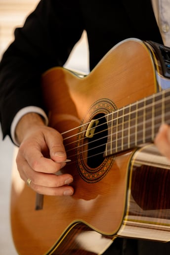 Gallery photo 1 of Multi-Style Guitarist