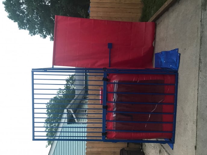 Gallery photo 3 of Ice Cream Truck, Dunk Tank & Bounce Houses