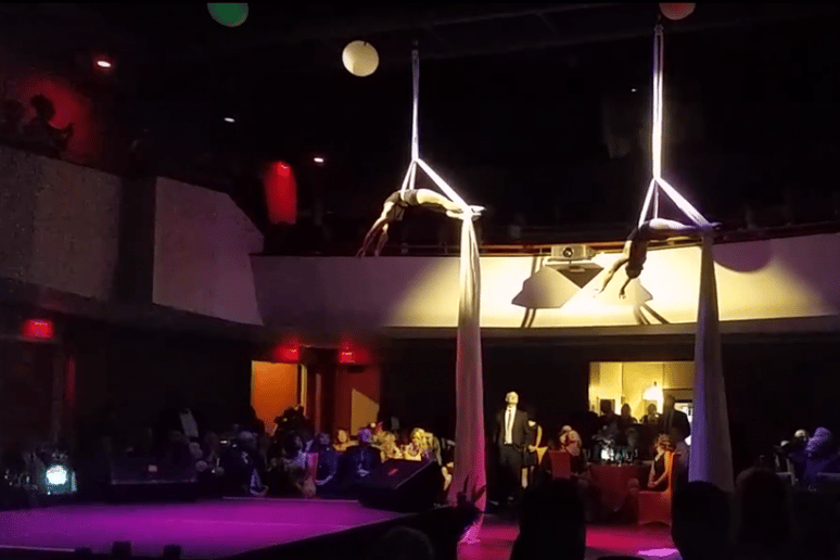 Gallery photo 1 of All Things Circus