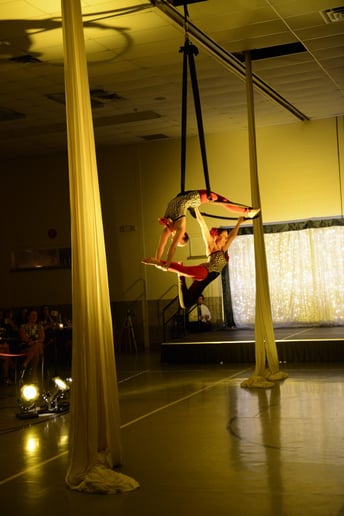 Gallery photo 2 of All Things Circus