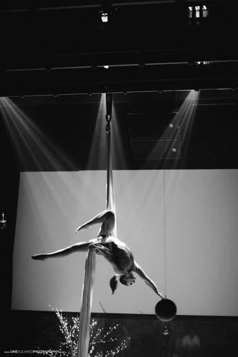 Gallery photo 7 of All Things Circus