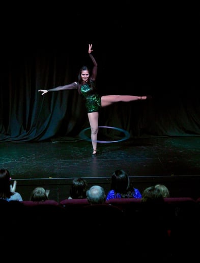 Gallery photo 8 of All Things Circus