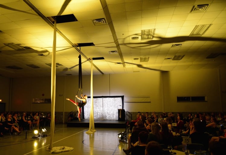 Gallery photo 10 of All Things Circus
