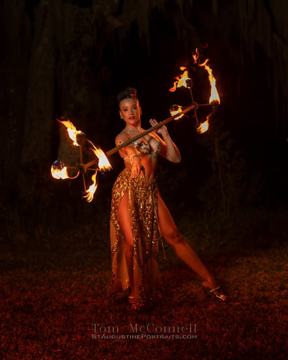 Gallery photo 3 of All Things Circus