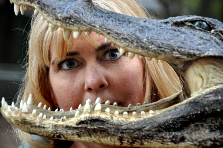 Gallery photo 6 of Alligator Sallie,  Grabs Your Audience By The Tail