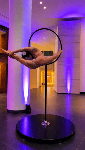 Gallery photo 1 of Allison Schieler Entertainment