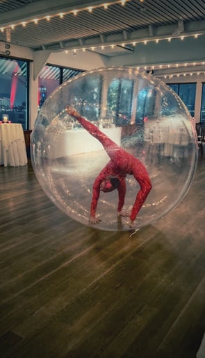 Gallery photo 7 of Allison Schieler Entertainment