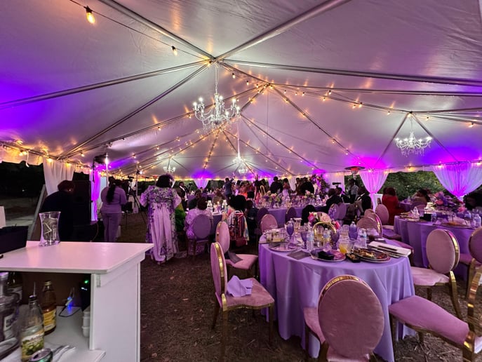 Gallery photo 6 of Ally Party Rentals LLC