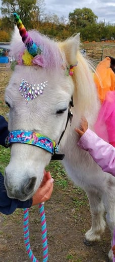 Gallery photo 4 of Aly's Ponies & Traveling Barnyard