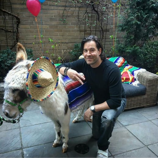 Gallery photo 6 of Aly's Ponies & Traveling Barnyard