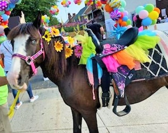 Gallery photo 9 of Aly's Ponies & Traveling Barnyard