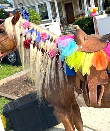 Gallery photo 10 of Aly's Ponies & Traveling Barnyard