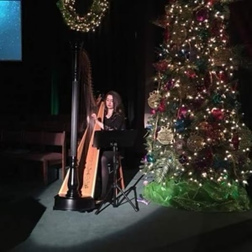 Gallery photo 7 of Alyssa Hall, Professional Harpist