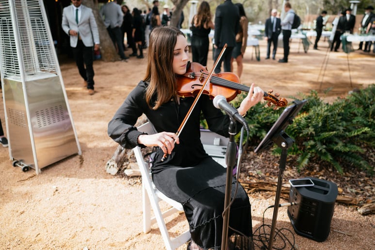 Gallery photo 6 of Alyssa Blaise Violin