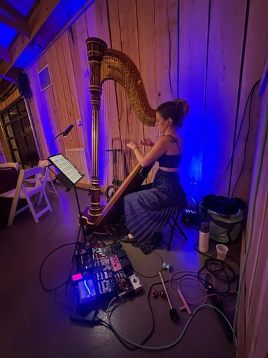 Gallery photo 2 of Amanda Kimble harpist