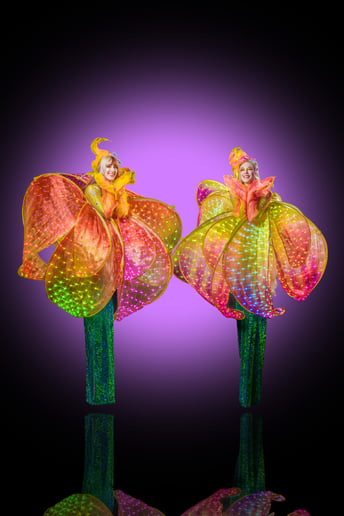 Gallery photo 2 of Amanda Lee of Wildfire Arts Entertainment