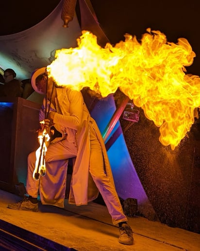 Gallery photo 16 of Amanda Lee of Wildfire Arts Entertainment