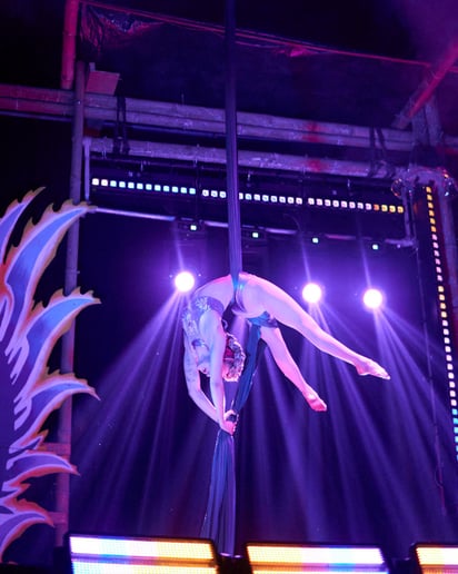 Gallery photo 23 of Amanda Lee of Wildfire Arts Entertainment