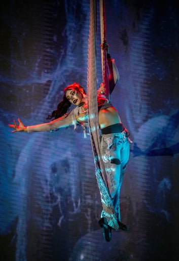 Gallery photo 5 of Amazing Acrobatics & Aerial