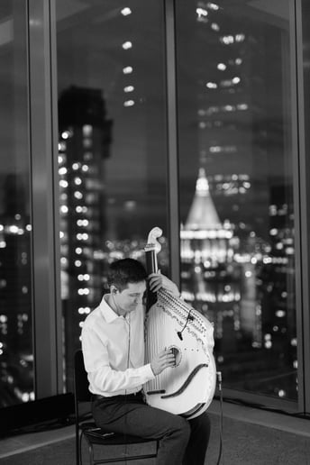 Gallery photo 4 of Amazing Harp (Bandura)