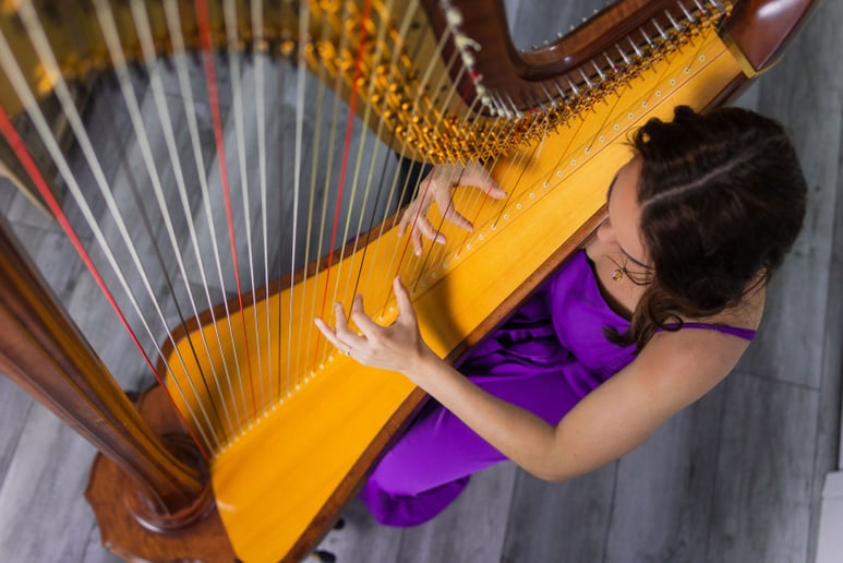 Gallery photo 7 of Amber Lynn Harp