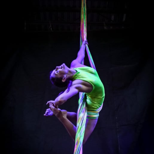 Gallery photo 7 of AmberLand Performance Art