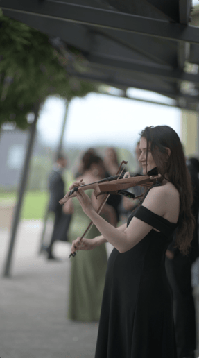 Gallery photo 2 of Ambience Live
