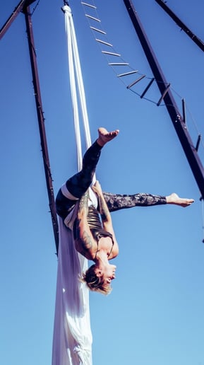 Gallery photo 1 of Ambient Aerial Arts
