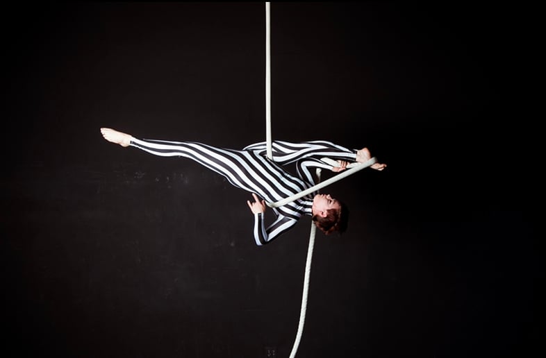 Gallery photo 5 of Ambient Aerial Arts