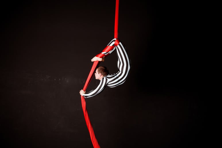 Gallery photo 7 of Ambient Aerial Arts