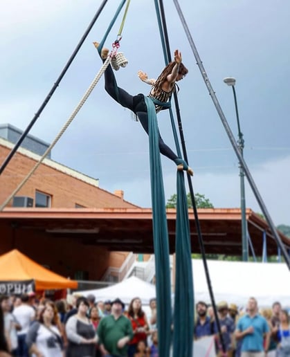 Gallery photo 8 of Ambient Aerial Arts