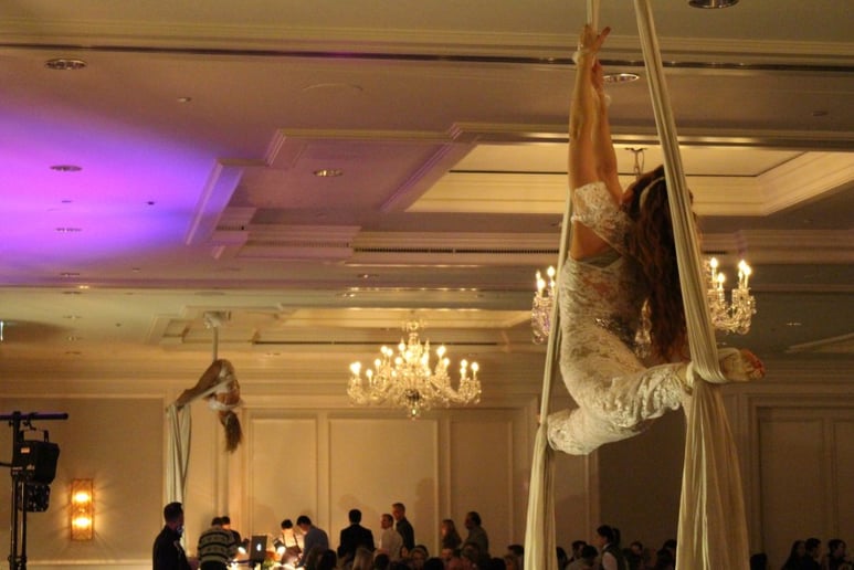 Gallery photo 7 of AeroTerra Arts Aerialist and Circus Entertainment
