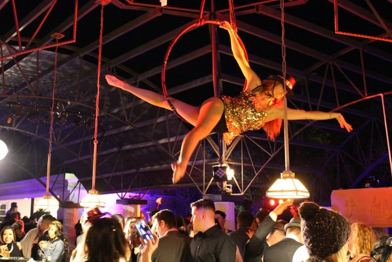 Gallery photo 8 of AeroTerra Arts Aerialist and Circus Entertainment