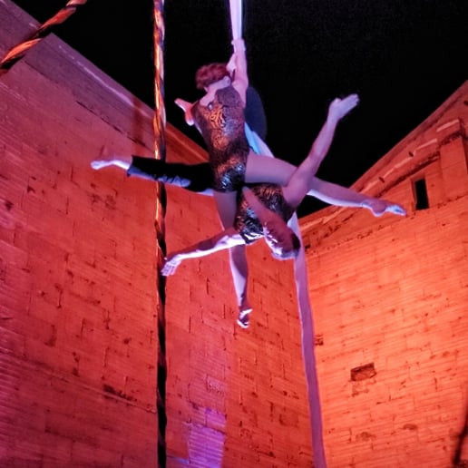Gallery photo 1 of AeroTerra Arts Aerialist and Circus Entertainment