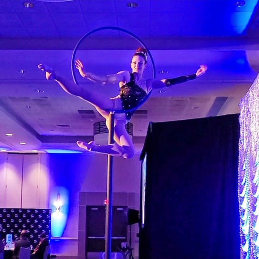 Gallery photo 5 of AeroTerra Arts Aerialist and Circus Entertainment