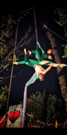 Gallery photo 6 of AeroTerra Arts Aerialist and Circus Entertainment