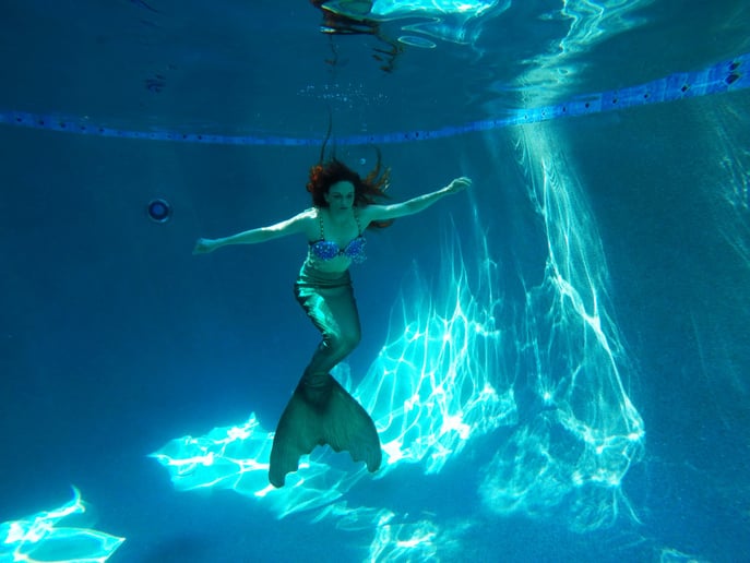 Gallery photo 17 of AeroTerra Arts Aerialist and Circus Entertainment