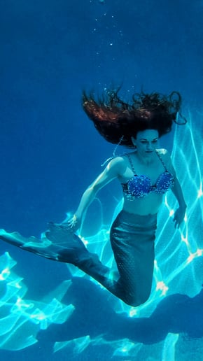 Gallery photo 18 of AeroTerra Arts Aerialist and Circus Entertainment