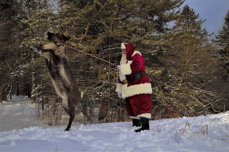 Gallery photo 1 of Amelia Island Santa