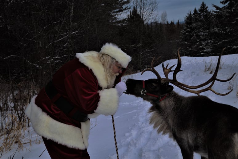 Gallery photo 2 of Amelia Island Santa