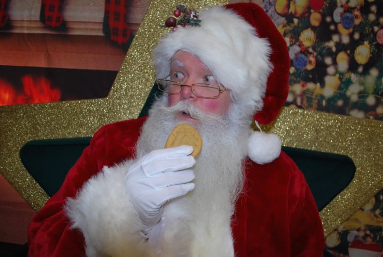 Gallery photo 39 of AmerEvents Sant-A-Grams
