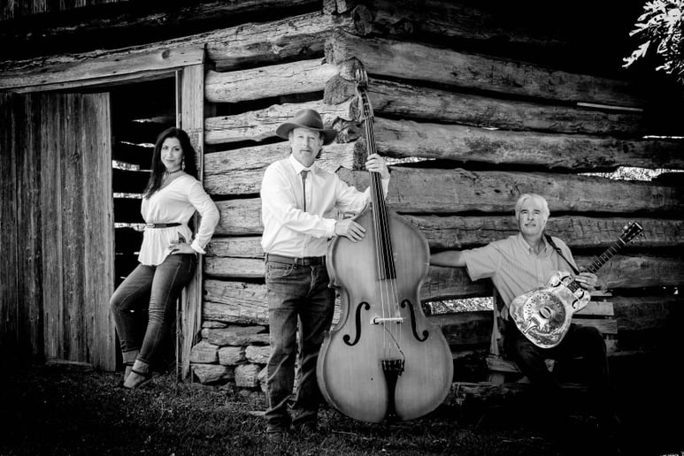 Gallery photo 3 of American Holler