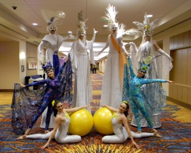 Gallery photo 7 of American Acrobats